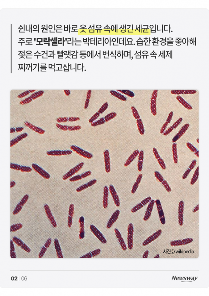 자취생을 위한 꿉꿉한 장마철 '빨래 쉰내' 없애는 법 기사의 사진