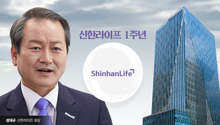 그래픽=박혜수 기자 hspark@