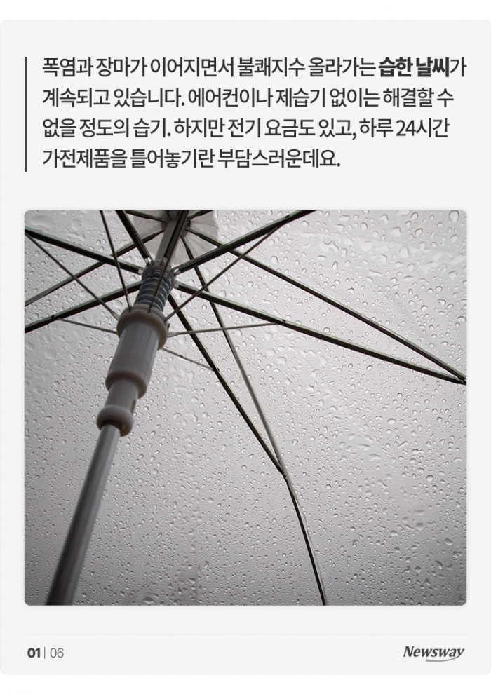 흠뻑쇼가 따로 없는 요즘, 생활 속 습기 제거 어떻게? 기사의 사진