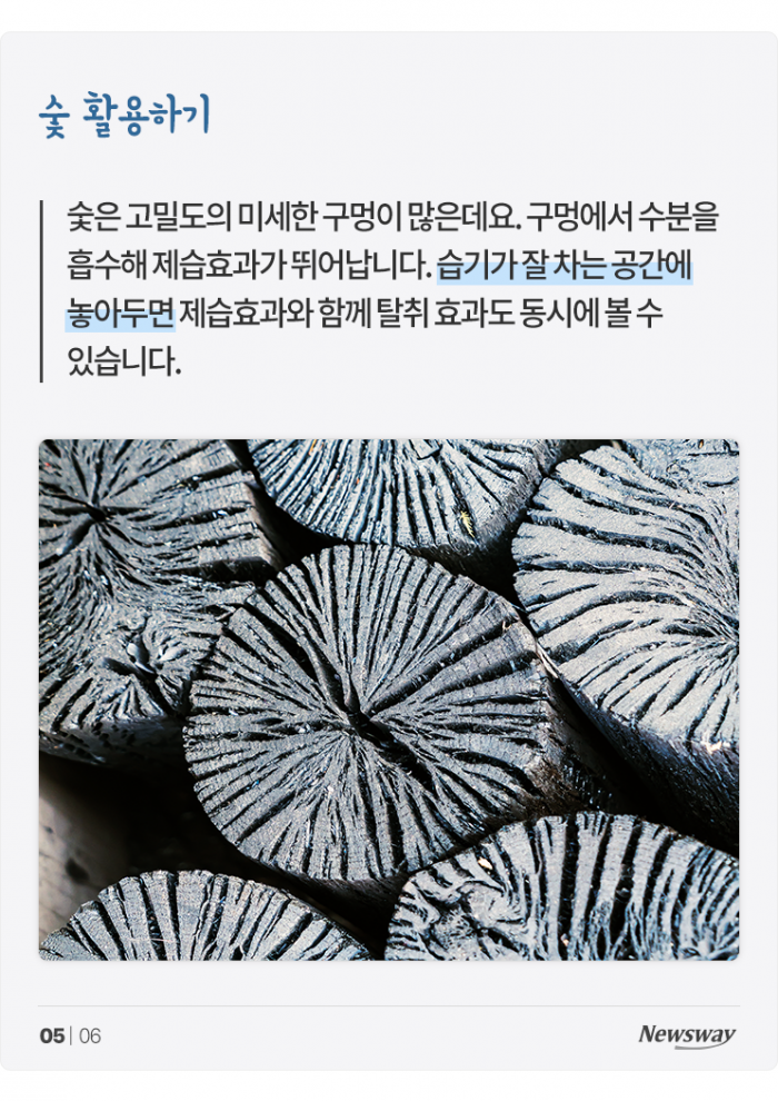 흠뻑쇼가 따로 없는 요즘, 생활 속 습기 제거 어떻게? 기사의 사진