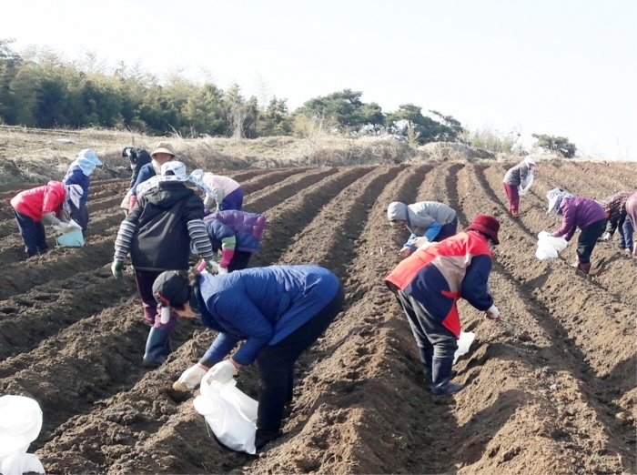 정읍시, 외국인 계절근로자 도입 '인력난 해소' 청신호