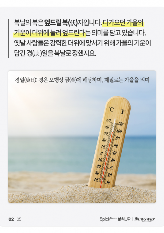 더운데 뜨거운 음식, 정말 '보양'이 될까? 기사의 사진