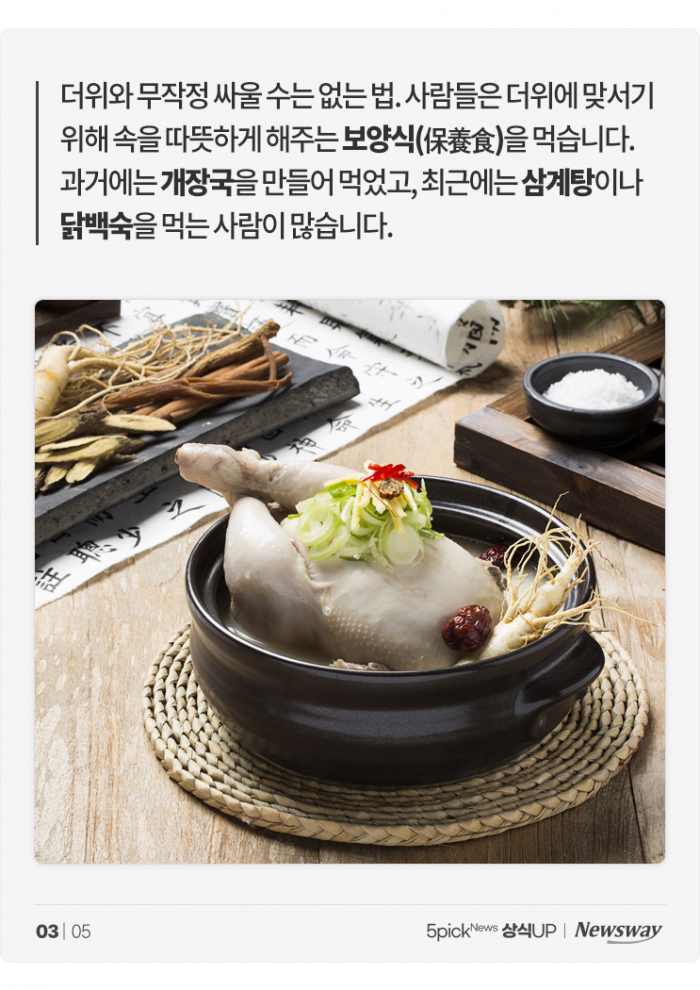 더운데 뜨거운 음식, 정말 '보양'이 될까? 기사의 사진