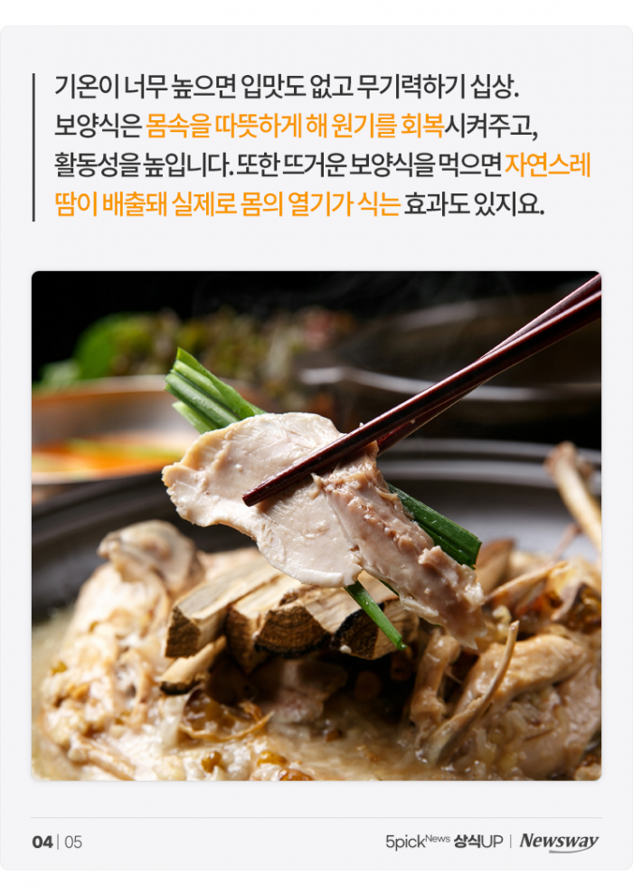 더운데 뜨거운 음식, 정말 '보양'이 될까? 기사의 사진
