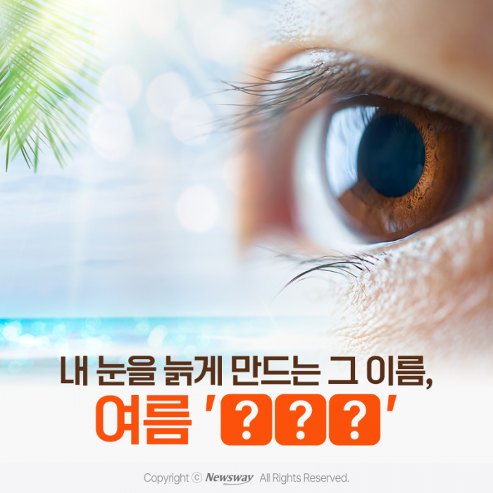 내 눈을 늙게 만드는 그 이름, 여름 '○○○' 기사의 사진