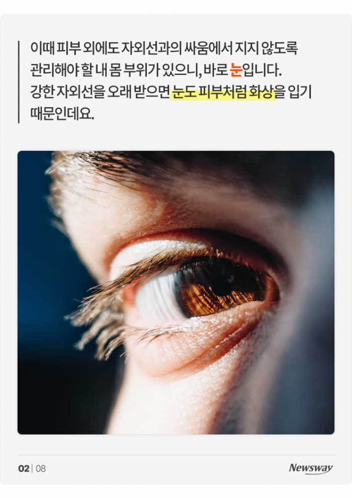 내 눈을 늙게 만드는 그 이름, 여름 '○○○' 기사의 사진