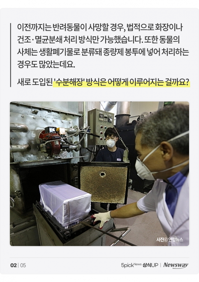 무지개다리 건너는 반려동물 위한 '수분해장' 장례···방식은? 기사의 사진