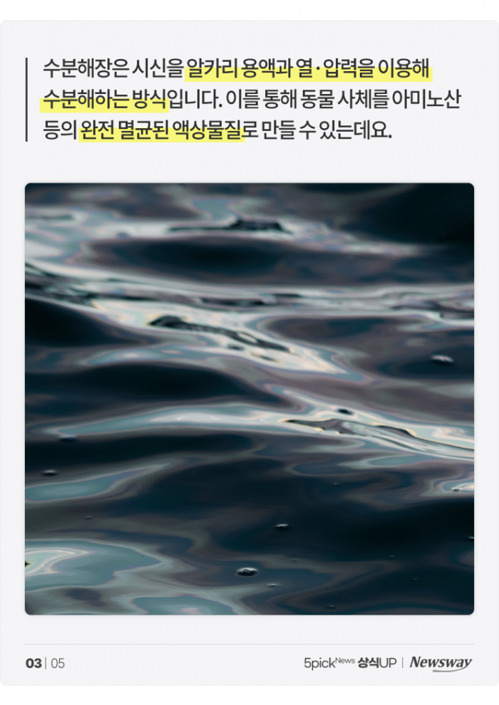 무지개다리 건너는 반려동물 위한 '수분해장' 장례···방식은? 기사의 사진
