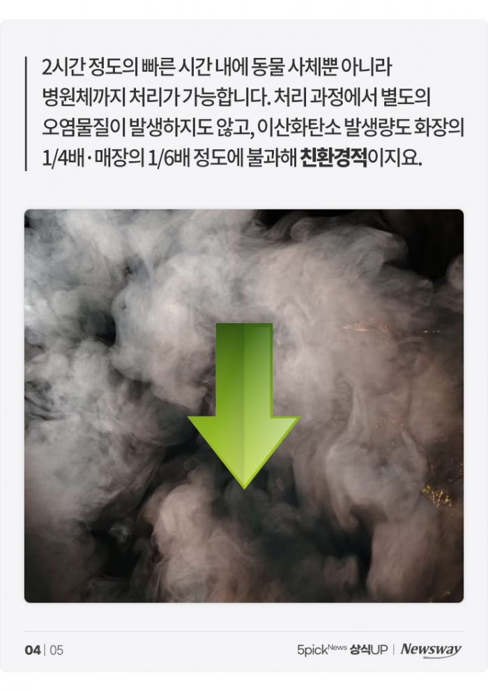 무지개다리 건너는 반려동물 위한 '수분해장' 장례···방식은? 기사의 사진