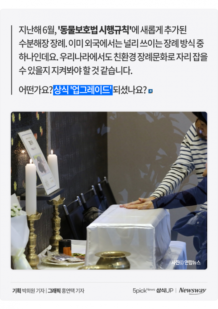 무지개다리 건너는 반려동물 위한 '수분해장' 장례···방식은? 기사의 사진
