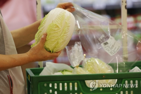이달에도 농산물값 상승세 이어질 듯···배추 도매가 121.8%↑