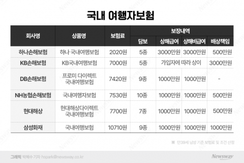 수요 높아진 여행자보험···"보험료, 보장 규모 꼼꼼히 따져봐야"