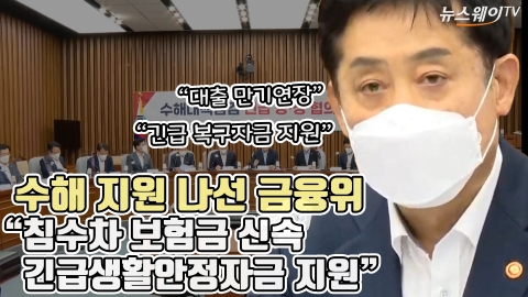 수해 지원 나선 금융위 "침수차 보험금 신속···긴급생활안정자금 지원"
