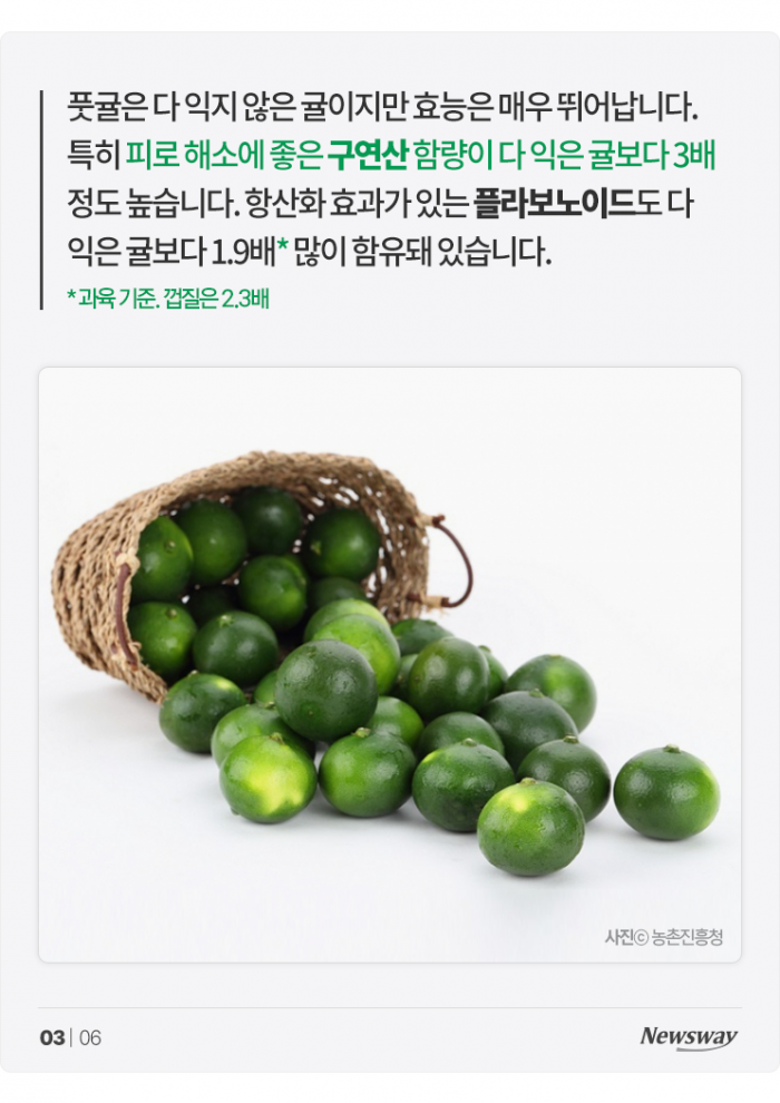 풋귤의 힘···다 익은 귤보다 '○○○' 3배! 기사의 사진