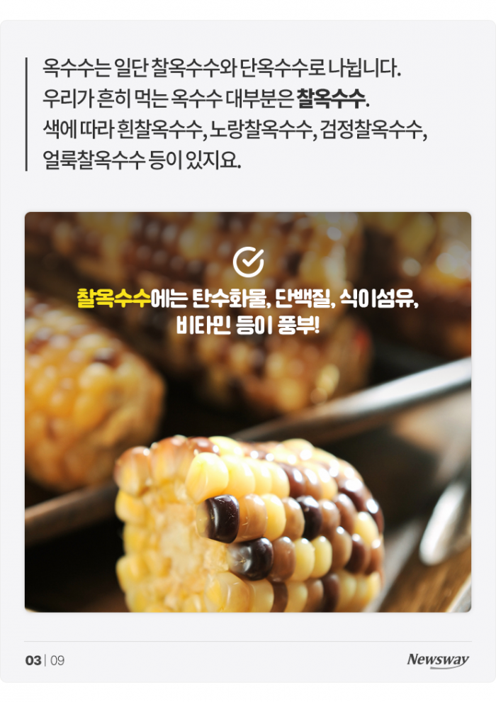 찰옥수수와 단옥수수는 이렇게 해 먹어야 맛있습니다 기사의 사진