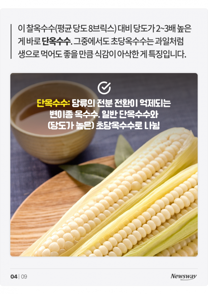 찰옥수수와 단옥수수는 이렇게 해 먹어야 맛있습니다 기사의 사진