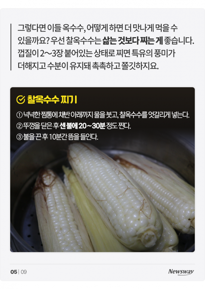 찰옥수수와 단옥수수는 이렇게 해 먹어야 맛있습니다 기사의 사진