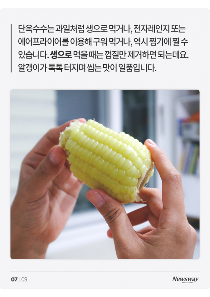 찰옥수수와 단옥수수는 이렇게 해 먹어야 맛있습니다 기사의 사진