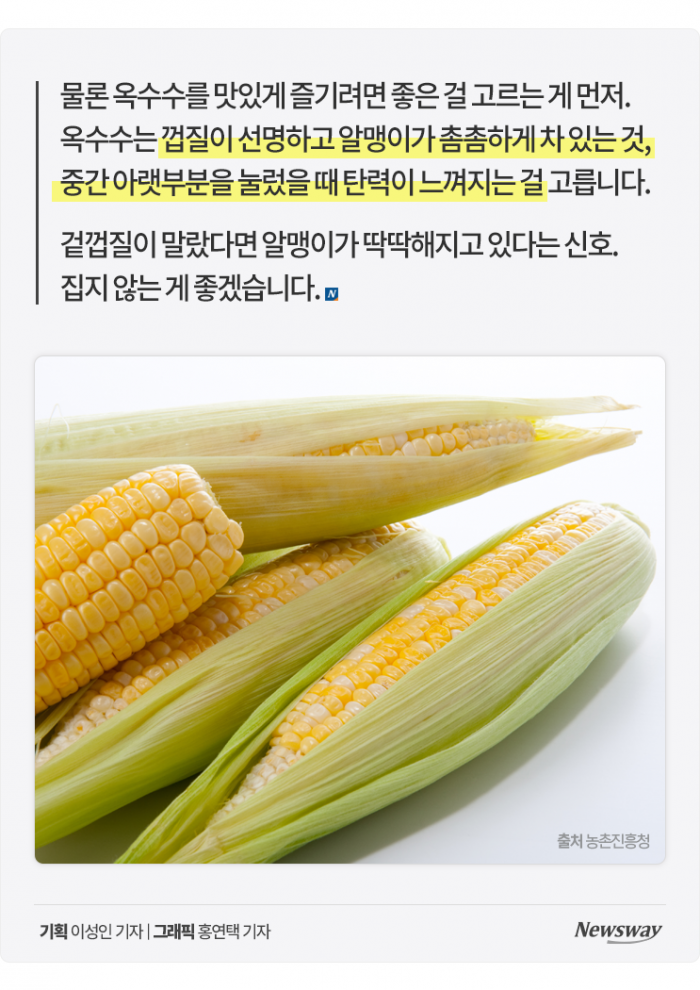 찰옥수수와 단옥수수는 이렇게 해 먹어야 맛있습니다 기사의 사진