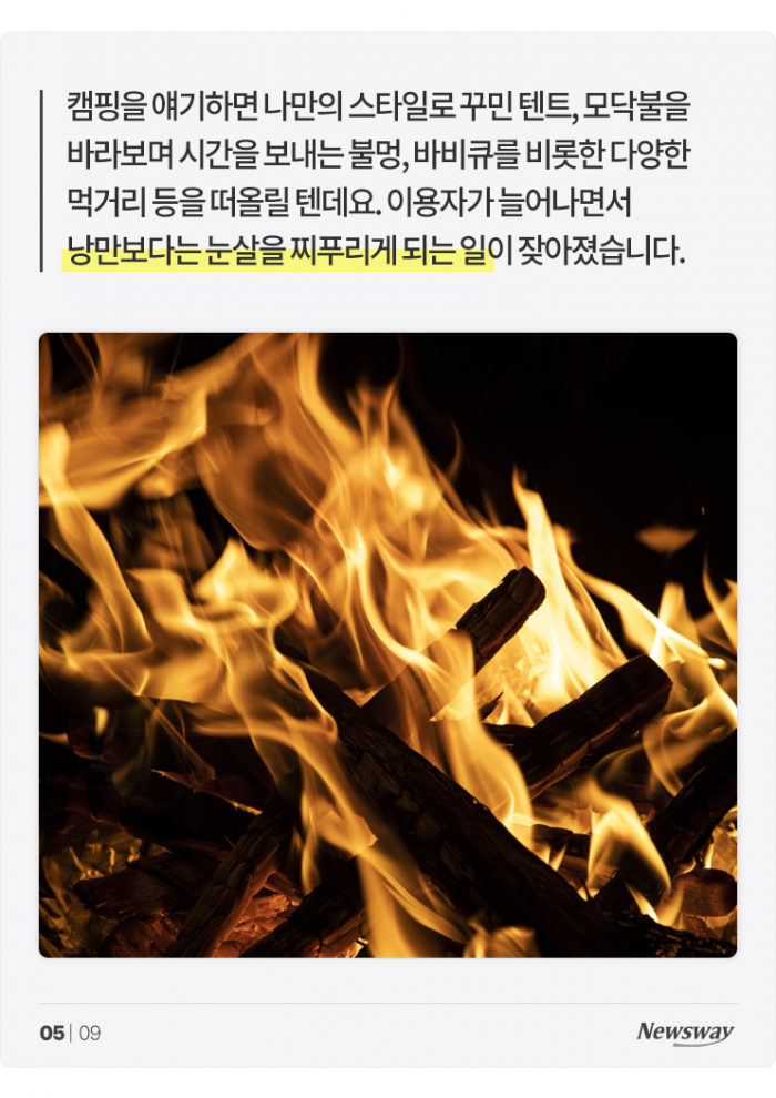 '7조원' 몸집 커진 캠핑 시장, 즐기는 건 좋지만 이러진 마세요 기사의 사진