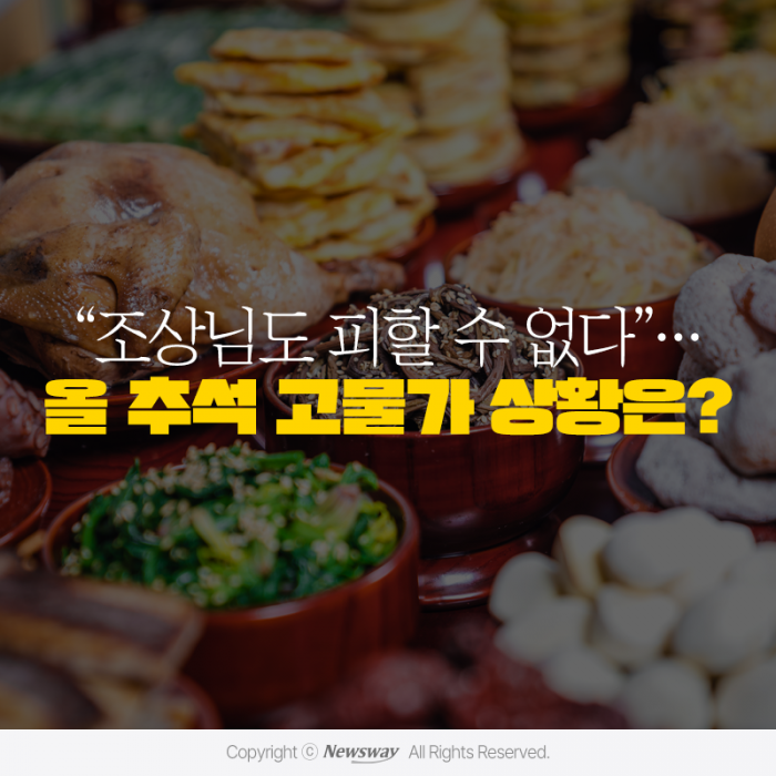 "조상님도 피할 수 없다"···올 추석 고물가 상황은? 기사의 사진