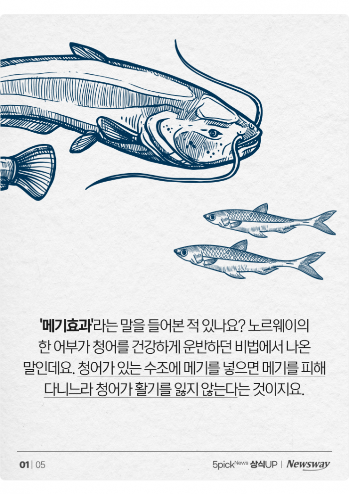 '삼성, 롯데, LG···' 대기업 총수들이 '메기'를 찾는 이유 기사의 사진