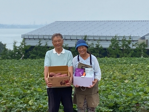 전남도, 9월 친환경농산물에 고구마