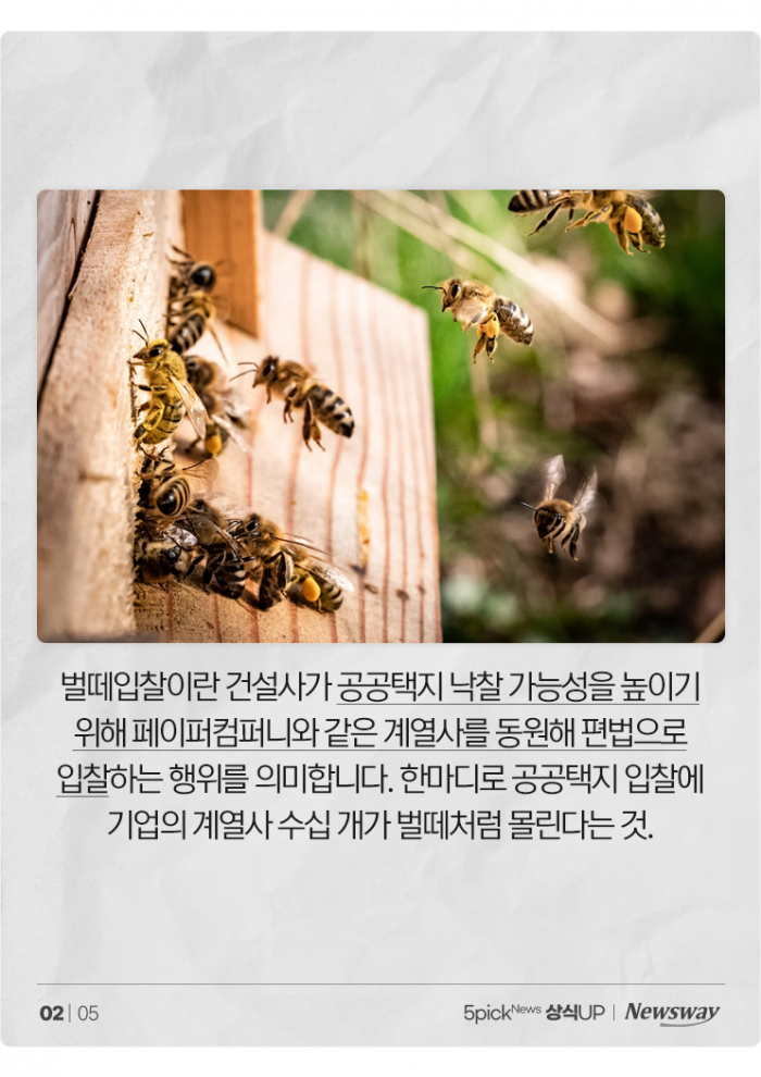 벌도 아닌데 '벌떼'처럼 '입찰'하는 이유는? 기사의 사진