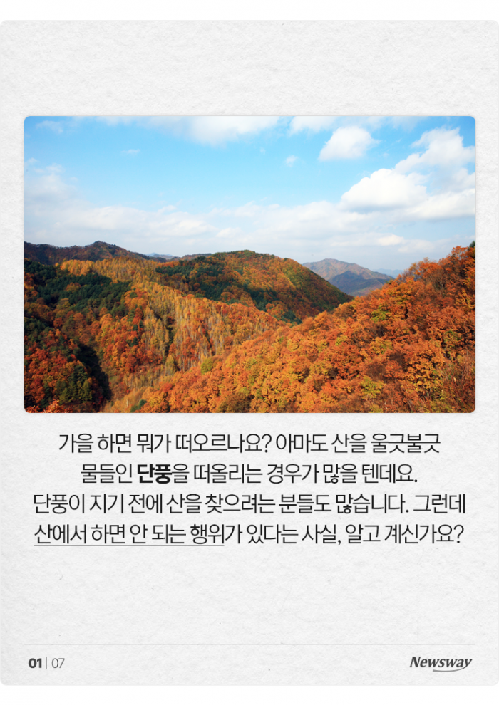 반려견 데리고 단풍놀이 왔는데 과태료를 내라고요? 기사의 사진