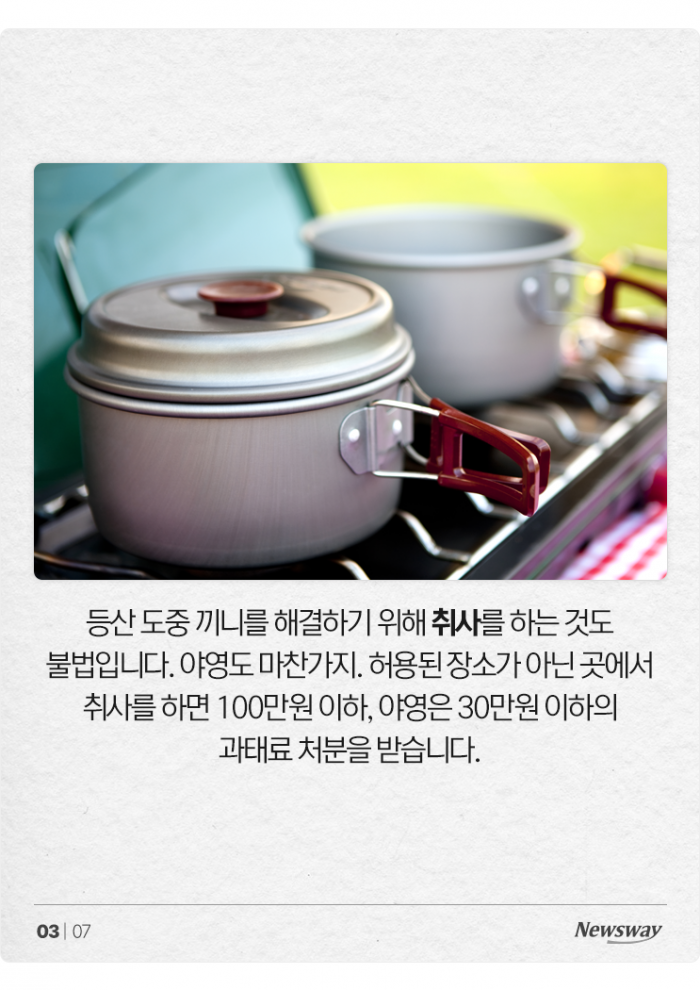 반려견 데리고 단풍놀이 왔는데 과태료를 내라고요? 기사의 사진