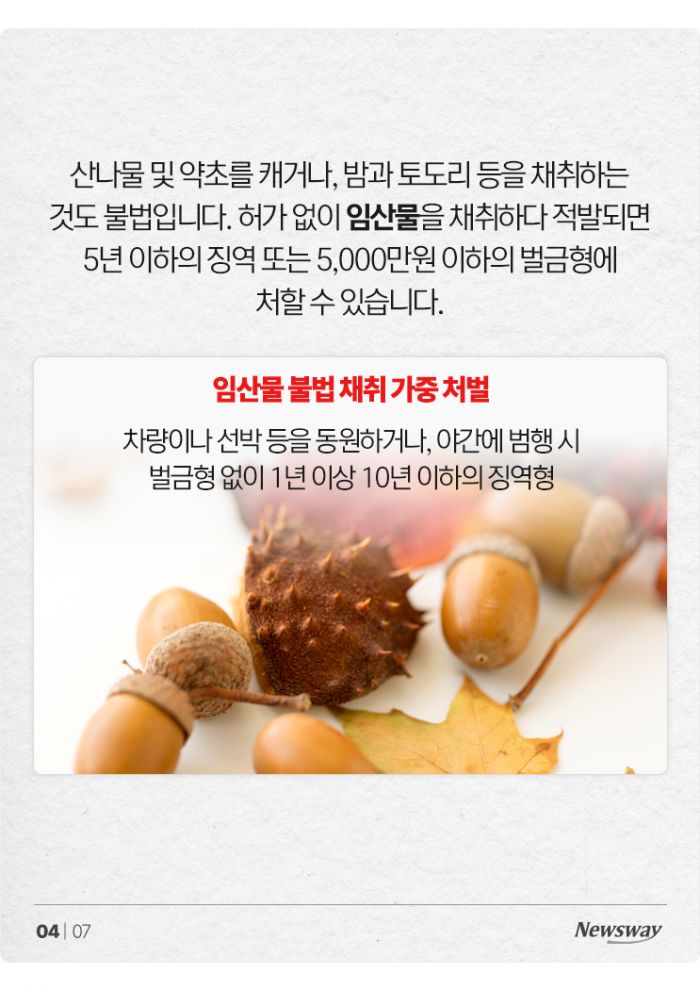 반려견 데리고 단풍놀이 왔는데 과태료를 내라고요? 기사의 사진
