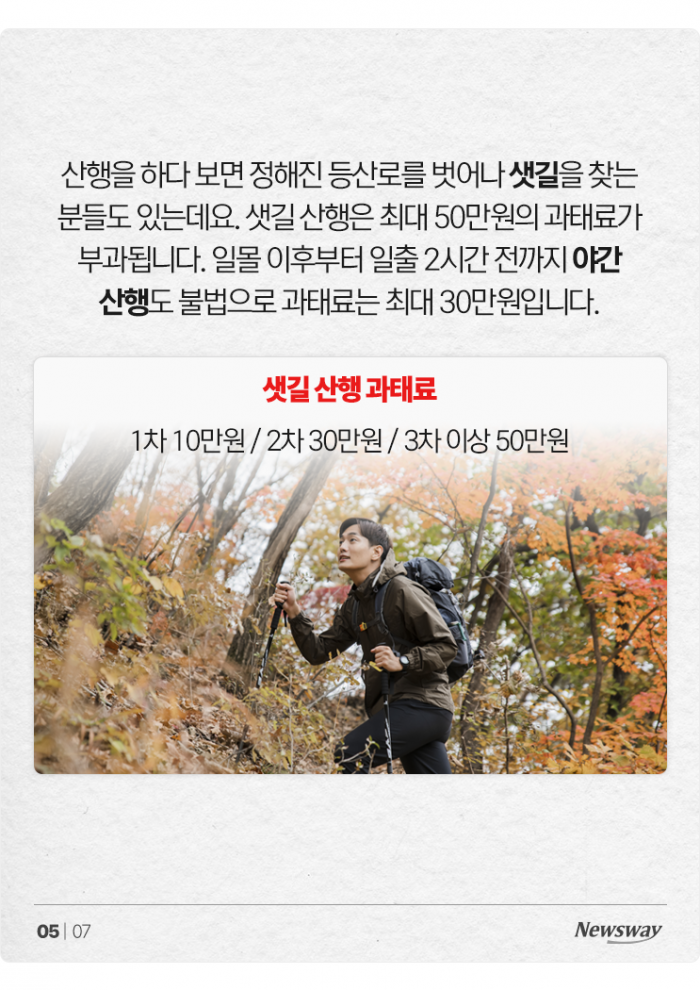 반려견 데리고 단풍놀이 왔는데 과태료를 내라고요? 기사의 사진