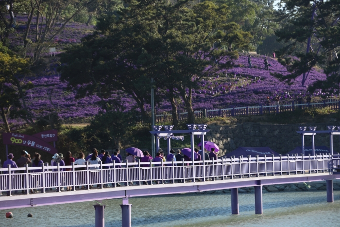 보라색의 성지 퍼플섬 전경