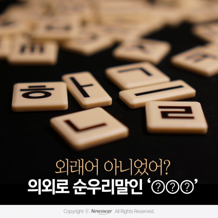 외래어 아니었어? 의외로 순우리말인 '○○○' 기사의 사진