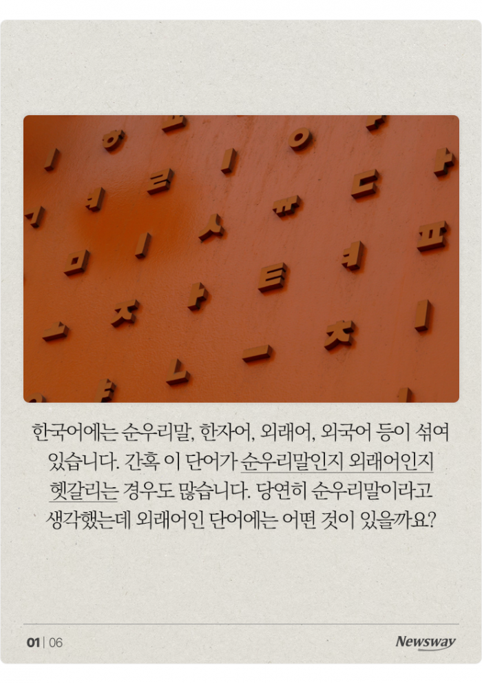 외래어 아니었어? 의외로 순우리말인 '○○○' 기사의 사진