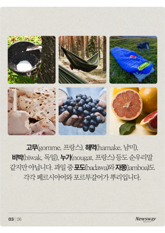 외래어 아니었어? 의외로 순우리말인 '○○○' 기사의 사진