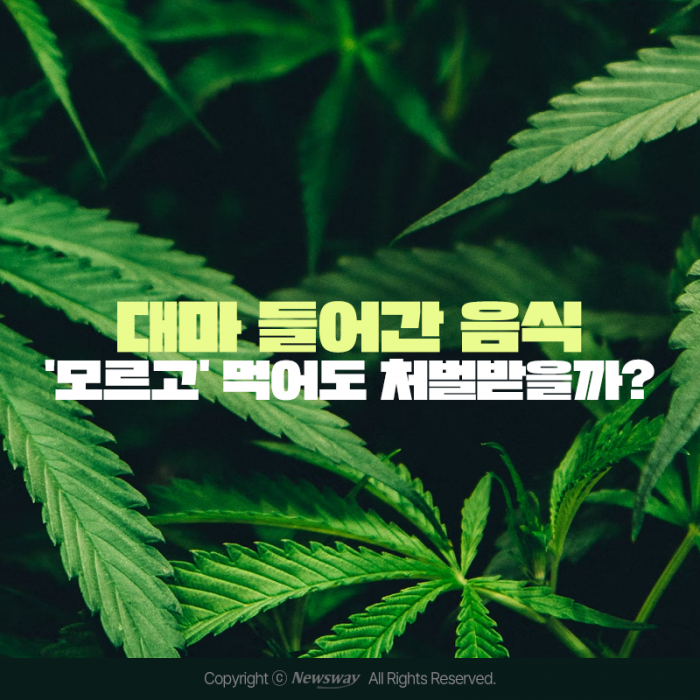 대마 들어간 음식 '모르고' 먹어도 처벌받을까? 기사의 사진