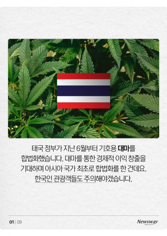 대마 들어간 음식 '모르고' 먹어도 처벌받을까? 기사의 사진