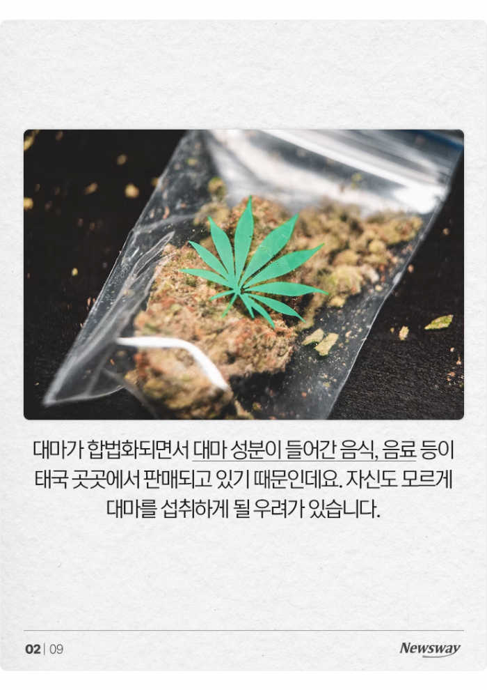 대마 들어간 음식 '모르고' 먹어도 처벌받을까? 기사의 사진