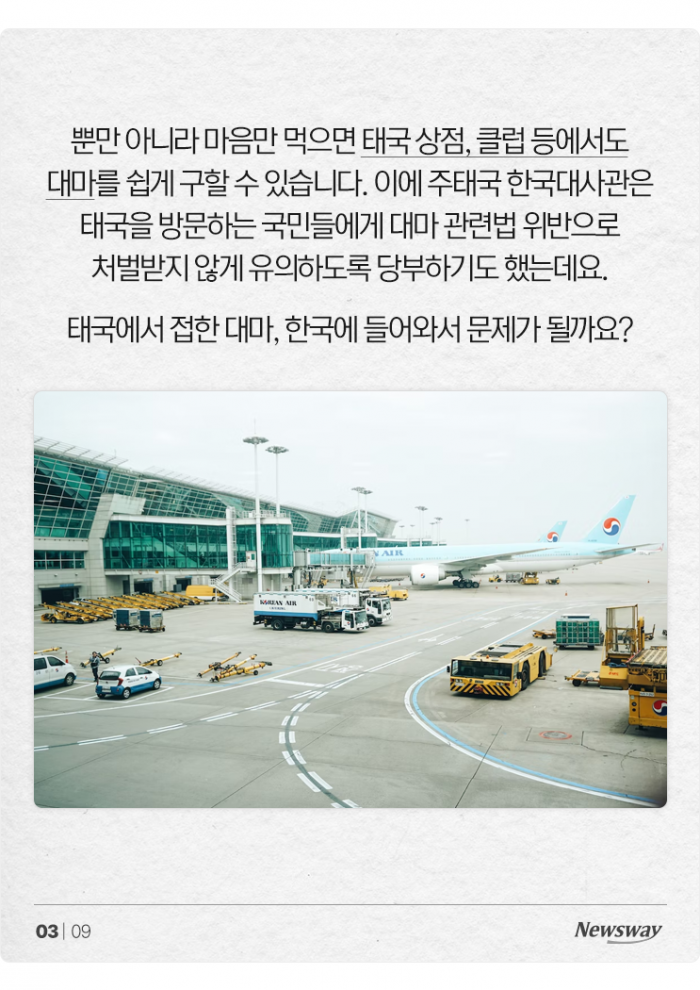 대마 들어간 음식 '모르고' 먹어도 처벌받을까? 기사의 사진