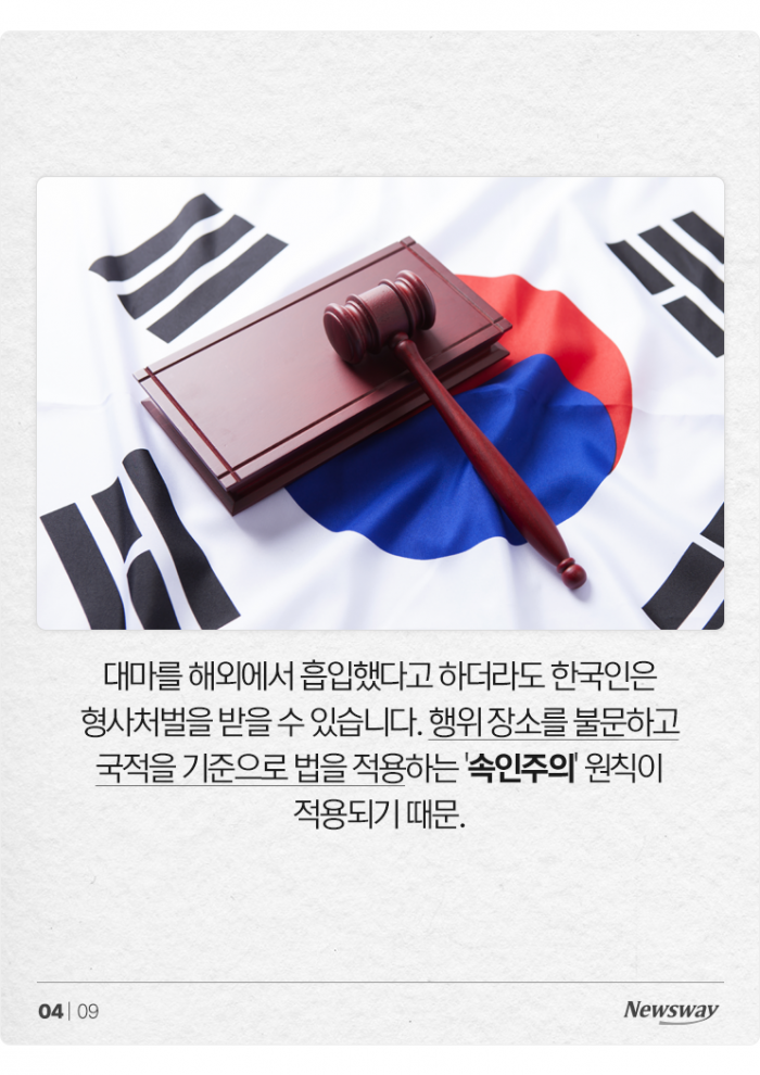 대마 들어간 음식 '모르고' 먹어도 처벌받을까? 기사의 사진