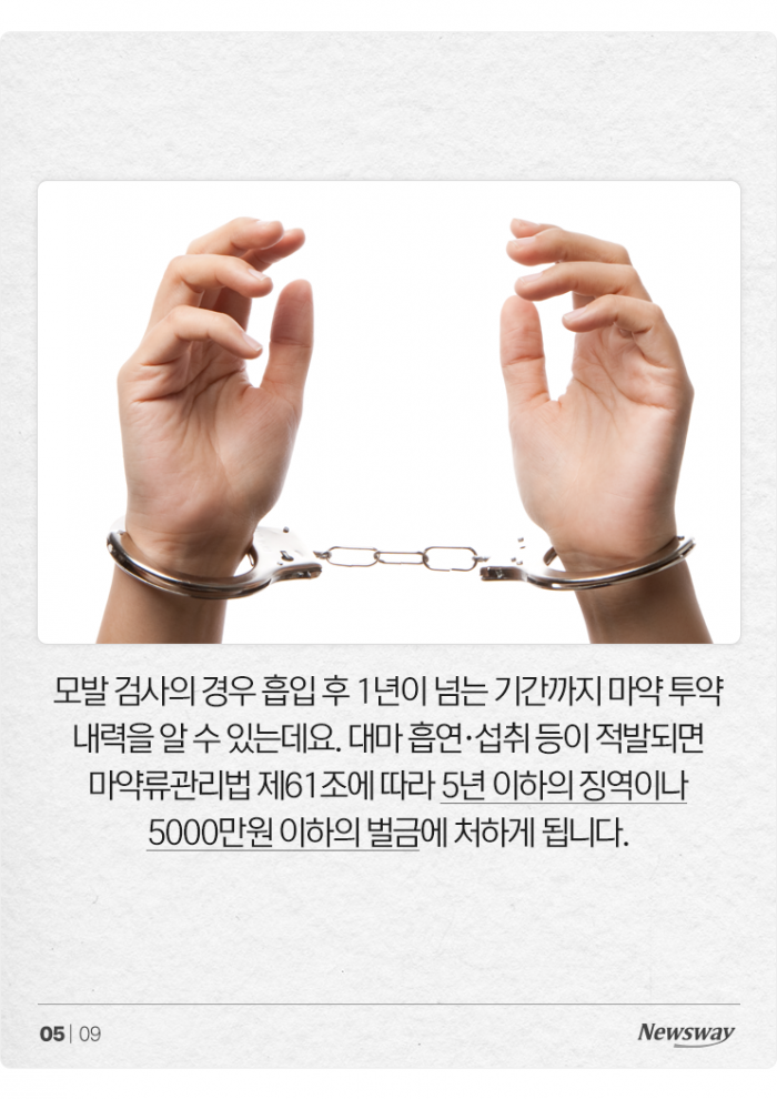 대마 들어간 음식 '모르고' 먹어도 처벌받을까? 기사의 사진