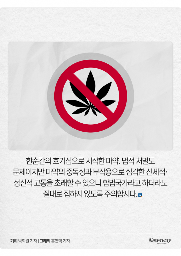 대마 들어간 음식 '모르고' 먹어도 처벌받을까? 기사의 사진