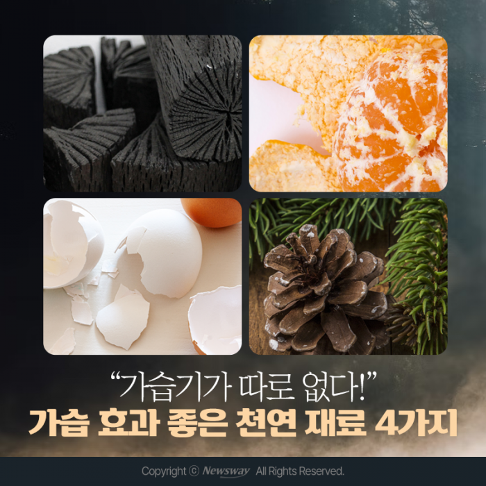 "가습기가 따로 없다!" 가습 효과 좋은 천연 재료 4가지 기사의 사진