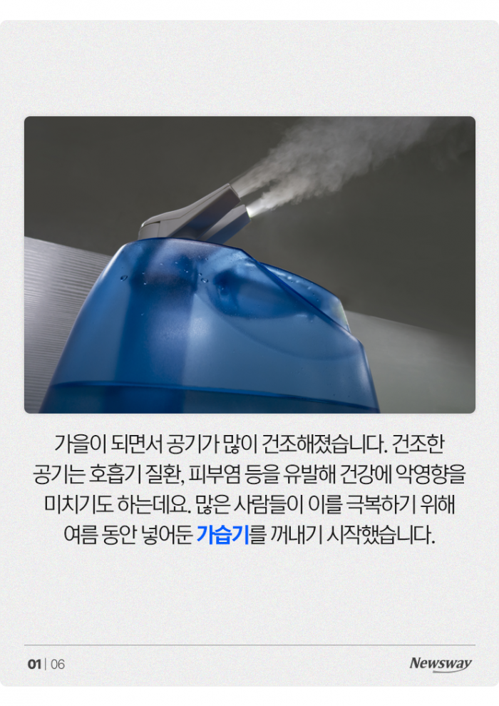 "가습기가 따로 없다!" 가습 효과 좋은 천연 재료 4가지 기사의 사진