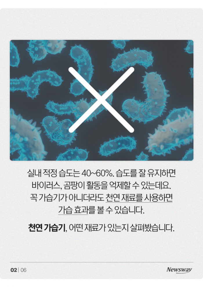 "가습기가 따로 없다!" 가습 효과 좋은 천연 재료 4가지 기사의 사진