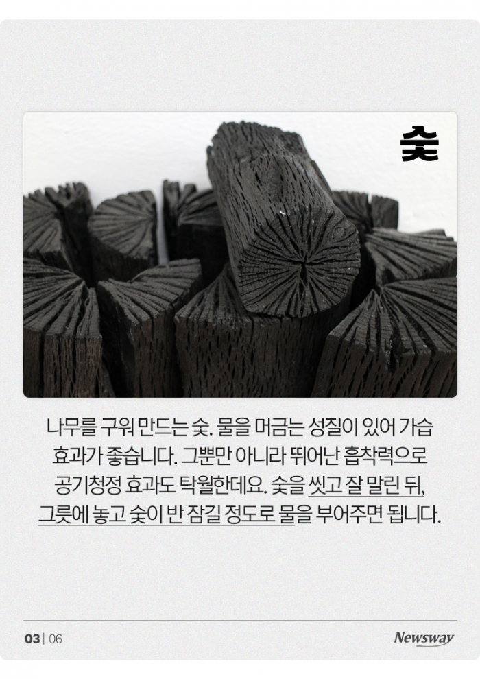 "가습기가 따로 없다!" 가습 효과 좋은 천연 재료 4가지 기사의 사진