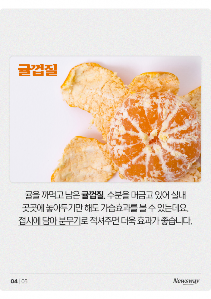 "가습기가 따로 없다!" 가습 효과 좋은 천연 재료 4가지 기사의 사진