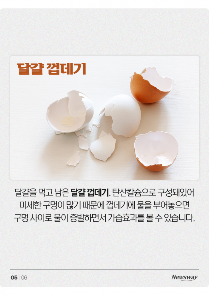 "가습기가 따로 없다!" 가습 효과 좋은 천연 재료 4가지 기사의 사진