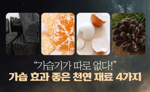 "가습기가 따로 없다!" 가습 효과 좋은 천연 재료 4가지